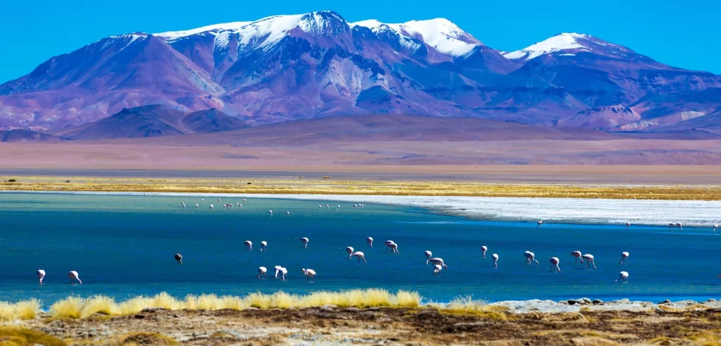 Seguro de viaje a Chile