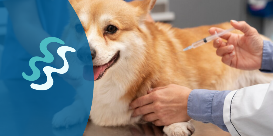 calendario vacunas cachorro