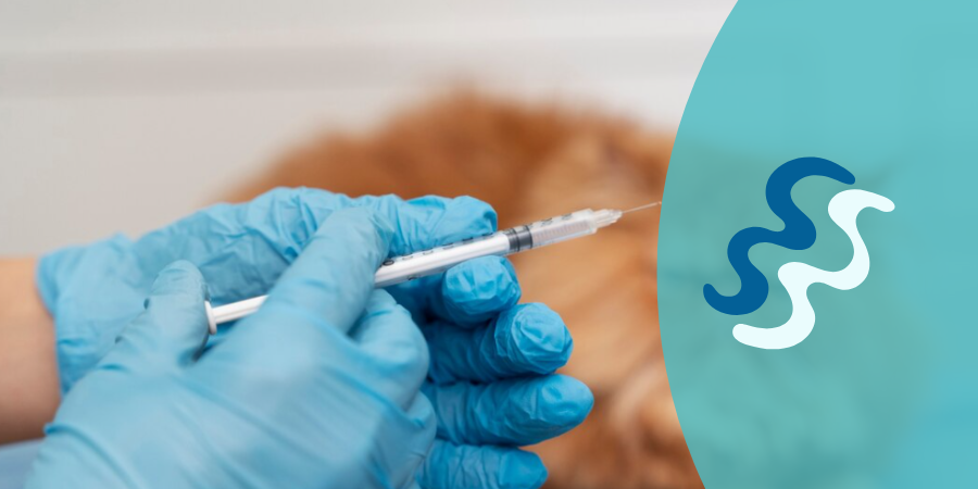 vacunas obligatorias perros España